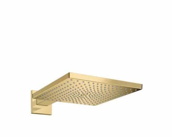 Cap dus fix Raindance E 300 1 jet brat 390 mm - polished gold optic